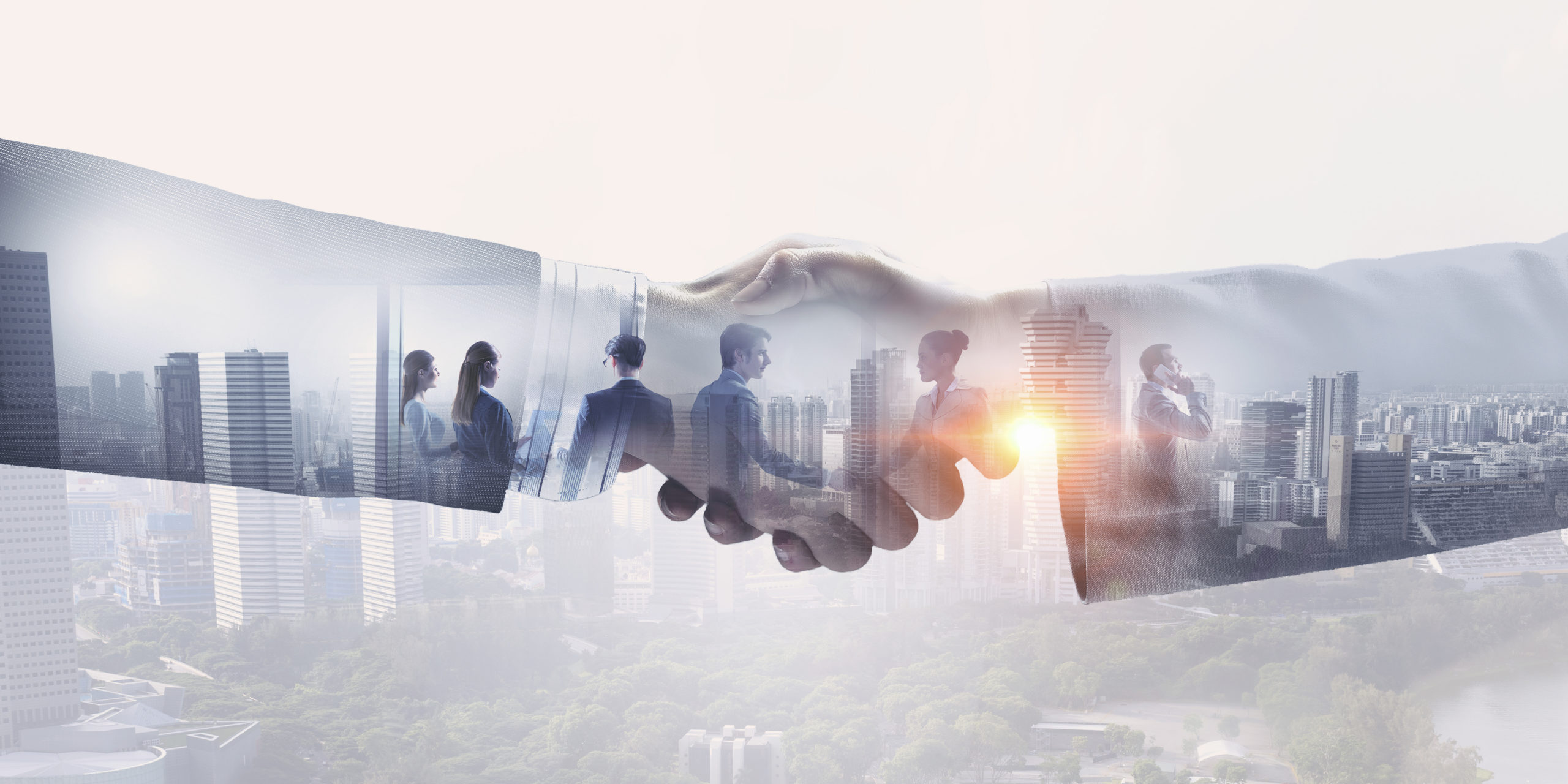 Collaboration_professionnelle_Vigiris